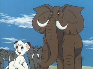 第22話 象の墓場