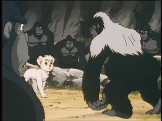 第二十章 指導者