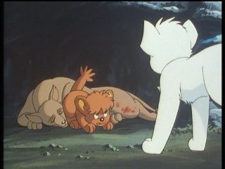 第四十六章 憧憬