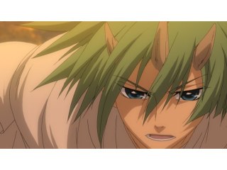 第十一夜 木の暗茂