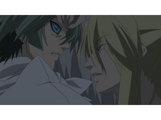 第十二夜 児手柏の両面