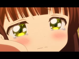 第8羽