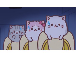 第7話 ばなにゃ、まよなかにゃ