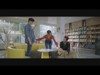 第11話 蜜月