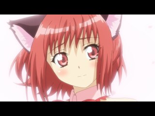 第7話 お別れの桜吹雪