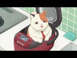 第6話 ムームーと炊飯器