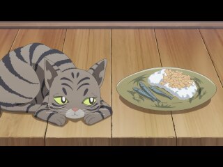 第7話 化け猫の来訪