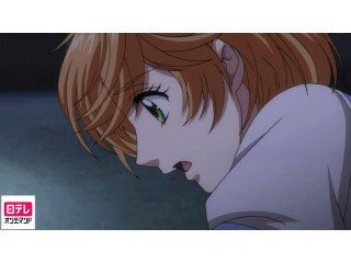 Op.11 愛憎のエレジー