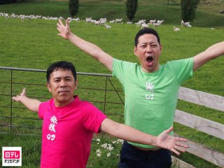 #2 「ニュージーランド・キャンプの旅」第2話