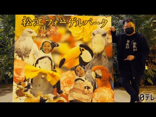 #15 「何も決めずに島根県の旅」第3話