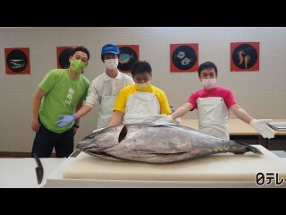 #11 「和歌山県でマグロ解体ショーへの旅」第2話