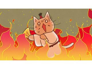 #2 その猫、織田信長!