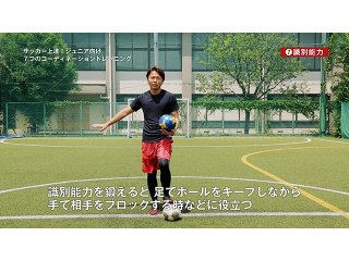 (7) 識別能力