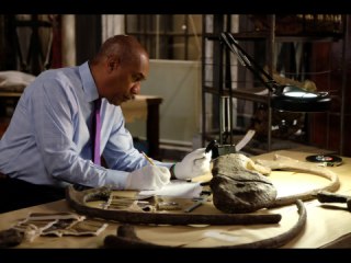 第5話 世界がひれ伏すあなた