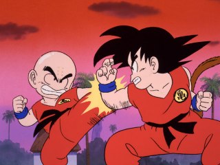 第95話 ファイト!! 悟空VSクリリン