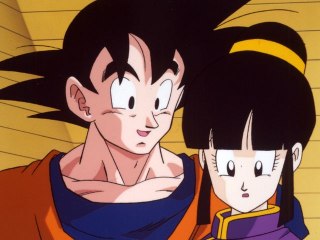 第147話 修行を急げサイヤ人!精神と時の部屋で…