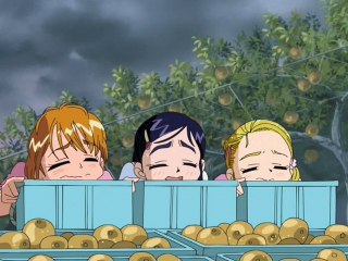 第27話残った宿題片付けろ! 梨と嵐とザケンナー!!