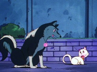 第20話 「狼はひとりぼっち」