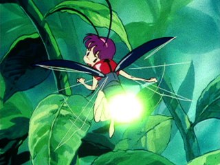 第41話 真夏の夜のホタル