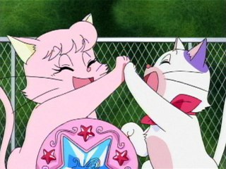 第43話 冬の日の迷い猫
