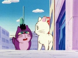 第30話 奇跡の魔力パワー! 人間になったネコ!?