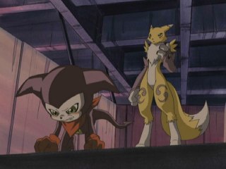 第19話 強くなりたい! 這い上がれインプモン