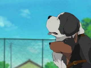 第108話 魔犬の森の殺人 ファイル4