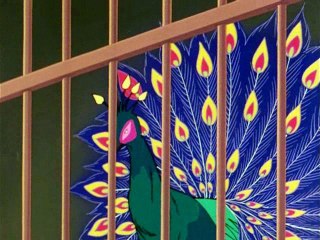 第168話 安い孔雀と紙に包んだ火