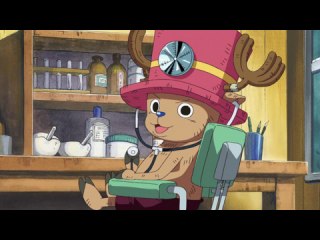 第326話 謎の海賊ご一行！サニー号と危険な罠, TVアニメ