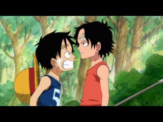 第493話 ルフィとエース 兄弟の出会いの物語!