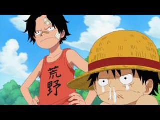 第503話 よろしく頼む! 兄弟から届いた手紙!