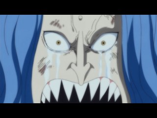 第564話 ゼロに! ルフィへの熱き願い!