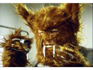 第7話 ピンクの月光!オオカミ部隊