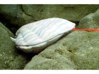 第60話 青い瀬戸内海!浮かぶ秘密要塞島