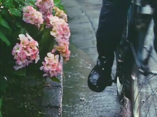 第23話 アジサイ仮面の心