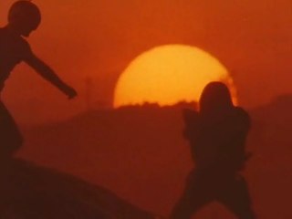 第48話 カウラーの最後!!