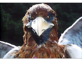 第6話 秘密透視の謎