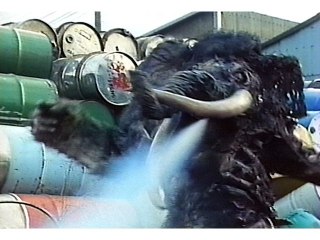 第14話 マグロが消えた日