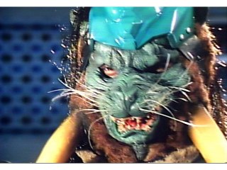 第44話 タンスの中は海!