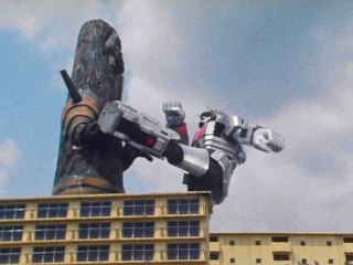 #9 ある巨木のものがたり