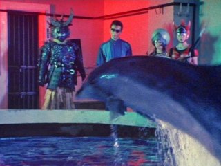 #19 呪いの海底人が笑う イルカの海SOS!