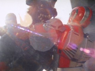 第29話 ある哀しいのら犬の物語