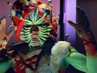 第24話 猛毒怪人 キノコモルグの出撃!