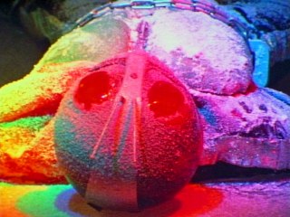 第47話 死を呼ぶ氷魔人トドギラー