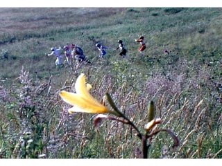 第29話 花を守れ!幻の蝶