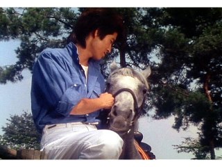 第30話 走れ!ペガサス!