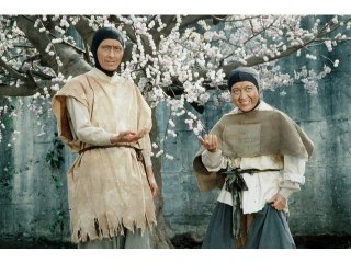 第13話 満開の桜を団子の木の下で