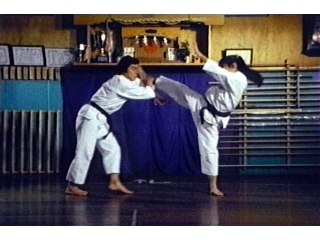 第3話 5フラッシュ!!ほえろパンサー