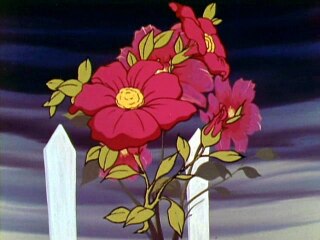 第13話 イオの花が咲いた