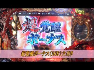 #113 CR大海物語2/CR南国育ちinハワイ/CR牙狼魔戒閃騎鋼